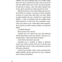 Bookmedia Voňavá lékárna Ve vzduchu se vznáší tajemství Anna Ruheová 3