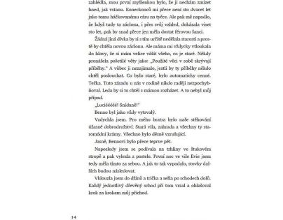 Bookmedia Voňavá lékárna Ve vzduchu se vznáší tajemství Anna Ruheová