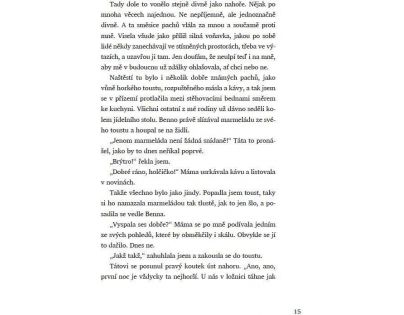 Bookmedia Voňavá lékárna Ve vzduchu se vznáší tajemství Anna Ruheová