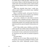 Bookmedia Voňavá lékárna Ve vzduchu se vznáší tajemství Anna Ruheová 5