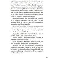 Bookmedia Voňavá lékárna Ve vzduchu se vznáší tajemství Anna Ruheová 6