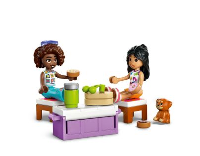 LEGO® Friends 42659 Výlet v autě s přáteli