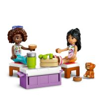 LEGO® Friends 42659 Výlet v autě s přáteli 4