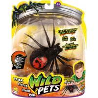 Wild Pets Pavouk - Creepster černý 2