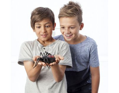 Wild Pets Pavouk - Creepster černý