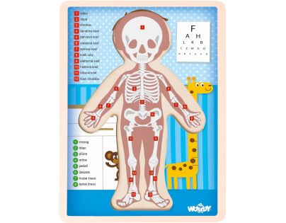 Woody Puzzle Lidské tělo Kluk 13 dílků SK verzia