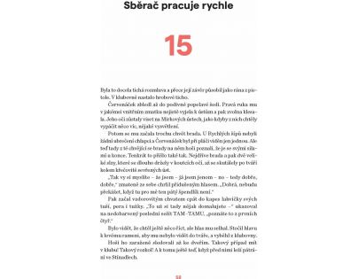 Albatros Záhada hlavolamu