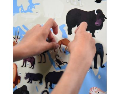 Poppik Samolepkový plakát Zvířata světa