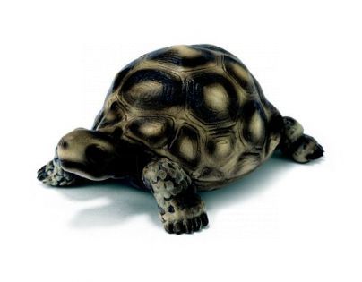 Zvířátko - želva obrovská Schleich